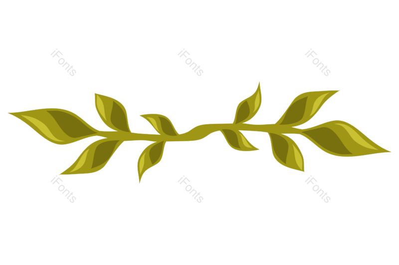 叶子图片,绿叶元素,花卉PNG,花草免抠素材
